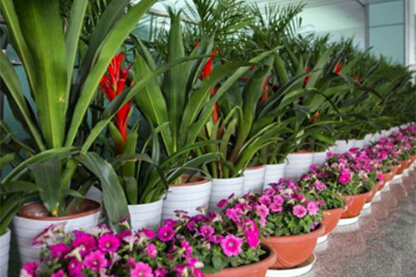 1622013697856625.png 1614156215569658.png