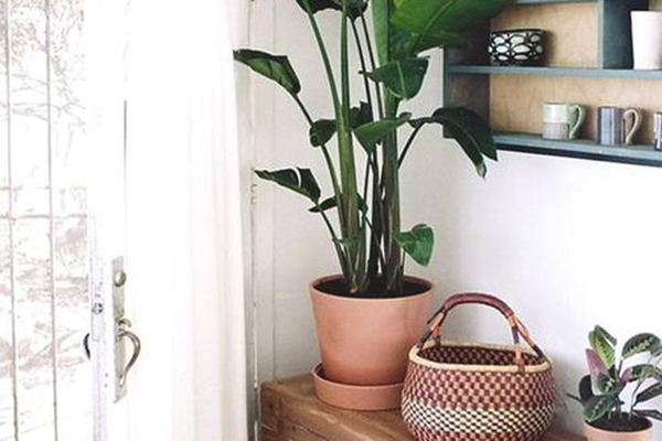 1622014036821493.jpg u=869270990,211179791&fm=224&gp=0.jpg